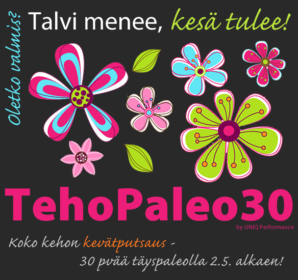 TehoPaleo30 – Kevään pirtein siivousryhmä!