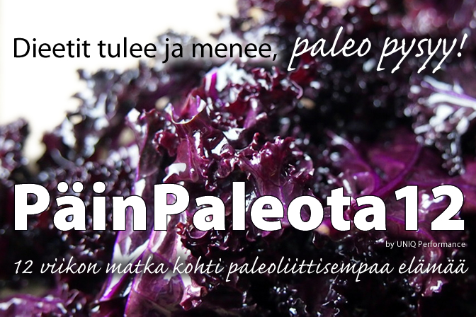 PäinPaleota12