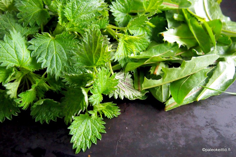 Villivihannekset | paleokeittio.fi