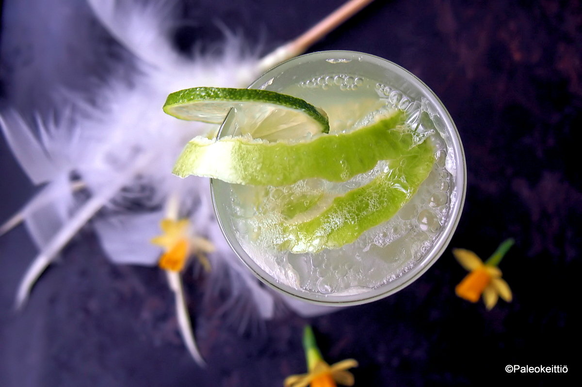Vihreäomena spritzer | paleokeittio.fi