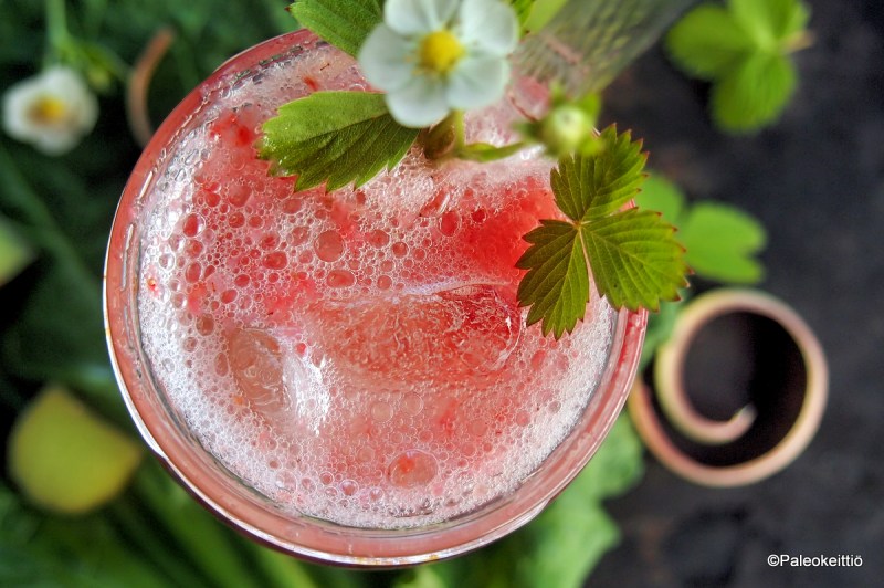 Raikas raparperi Spritzer | paleokeittio.fi