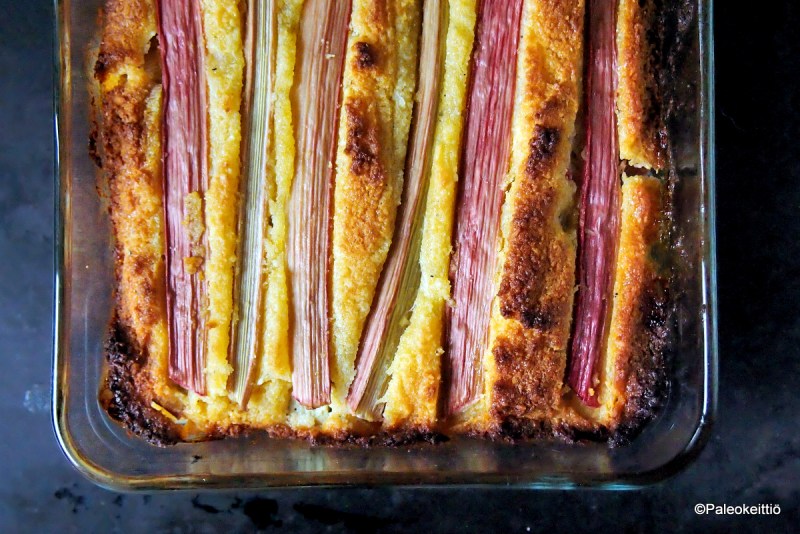 Hunajainen raparperikakku | paleokeittio.fi