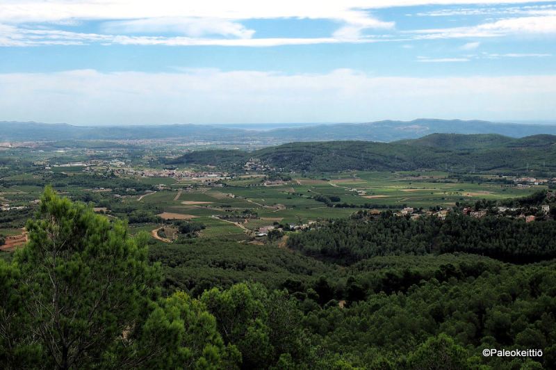 Pares Balta viinitila Espanjan Penedesissä | paleokeittio.fi