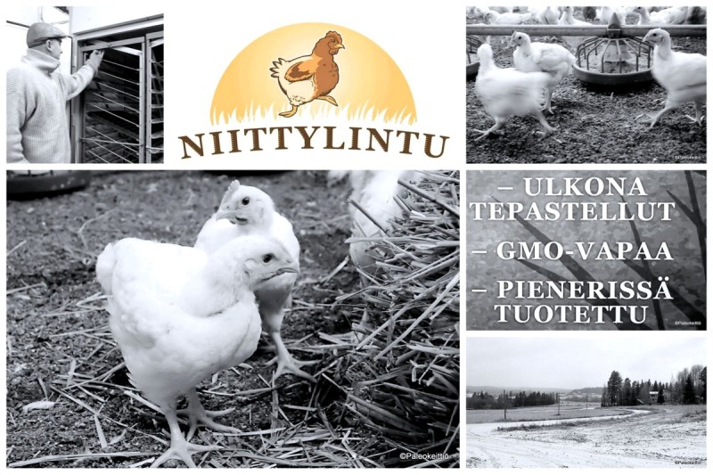 Missä onnellinen kana pissii? | paleokeittio.fi