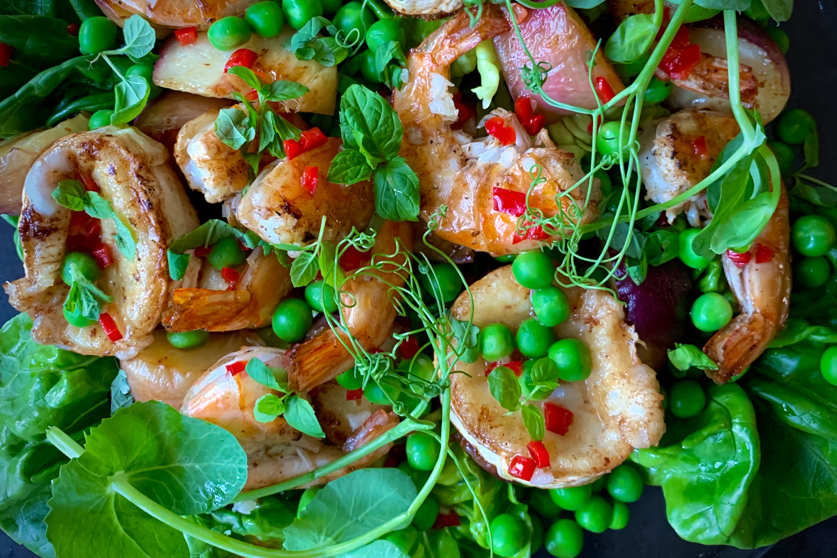 Persikalla piristetty katkarapu-vuohenjuustosalaatti | paleokeittio.fi