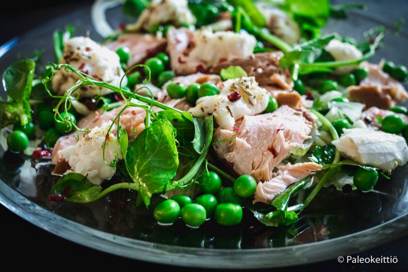 Raikas fenkoli-savulohisalaatti vuohenjuustolla | paleokeittio.fi